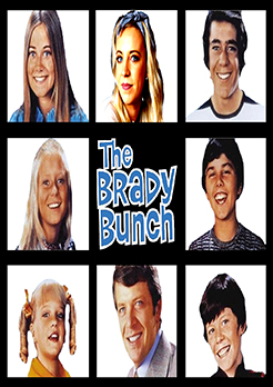 Brady Bunch Portrait